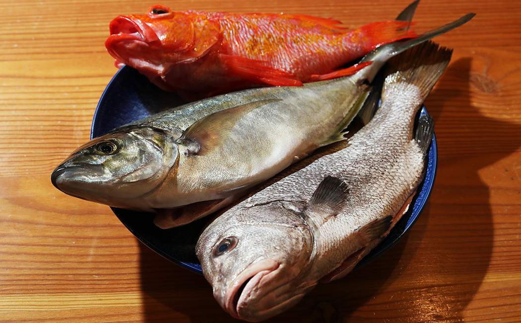 適切な処置と最高の魚